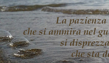 Frase Del Giorno 19 11 Pazienza Mamma E Bambini