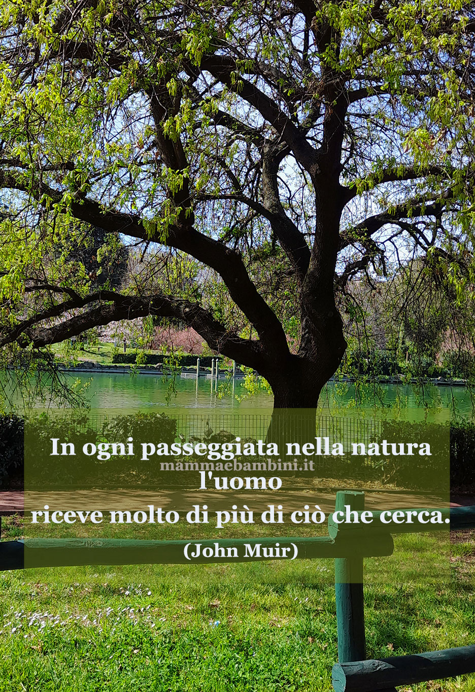 Frase Del Giorno 21 Marzo Sulla Natura - Mamma E Bambini